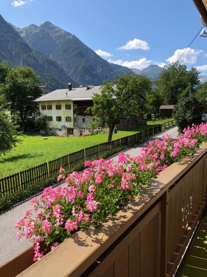 Pension & Ferienwohnungen Haus Edelweiss Гольцгау Екстер'єр фото